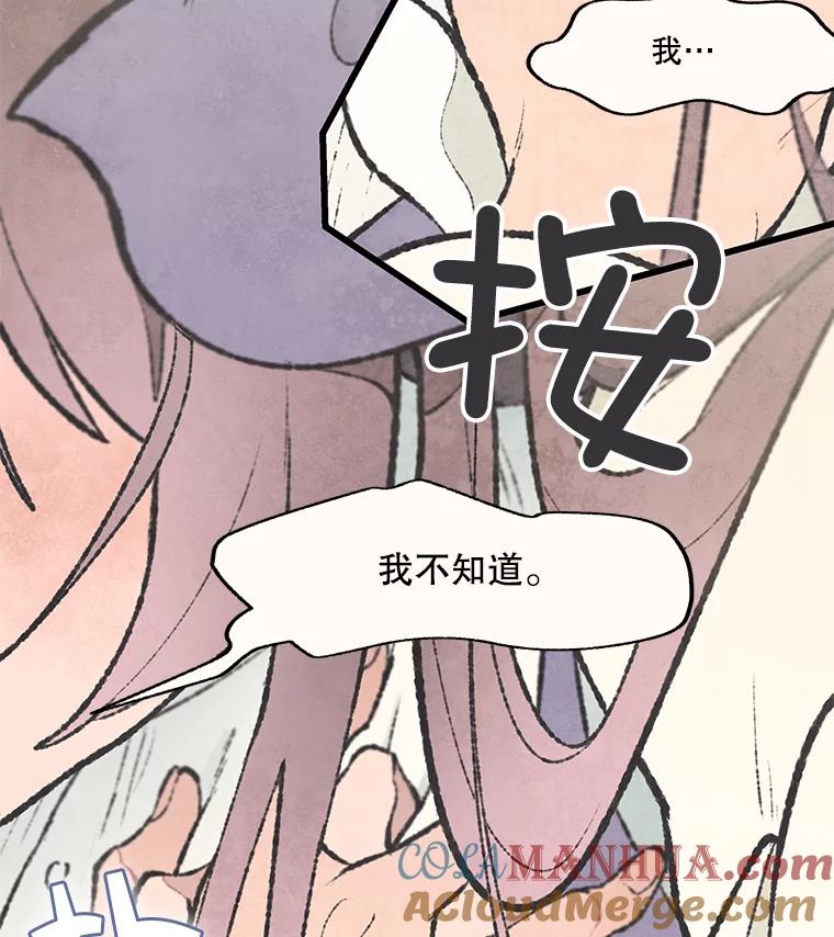 《在流星坠落之处等待》48.虚假 第16页