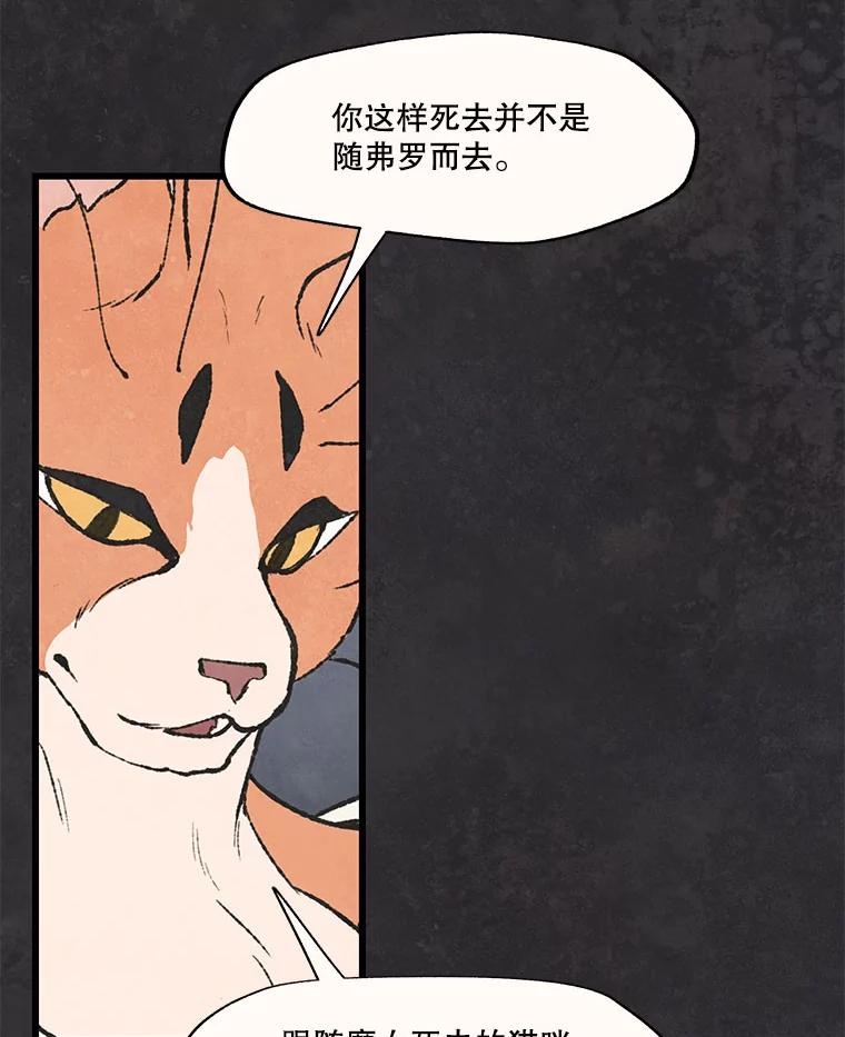 《在流星坠落之处等待》51.我们的梅纳德（2） 第24页