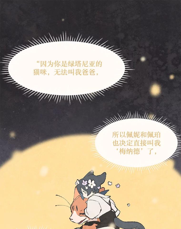 《在流星坠落之处等待》51.我们的梅纳德（2） 第39页