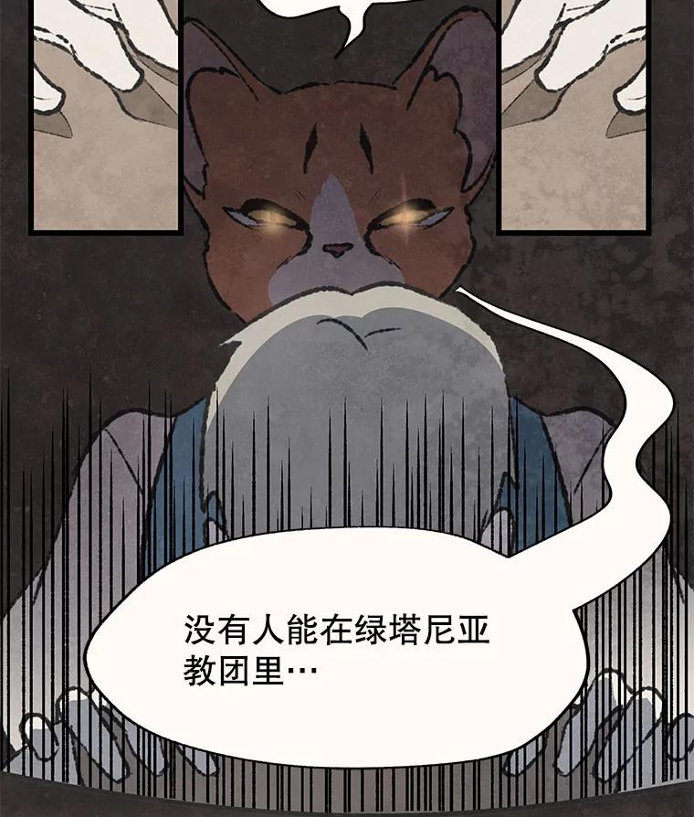 《在流星坠落之处等待》52.乌鸦鸣叫的灰色森林 第66页