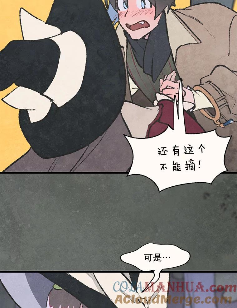 《在流星坠落之处等待》52.乌鸦鸣叫的灰色森林 第28页