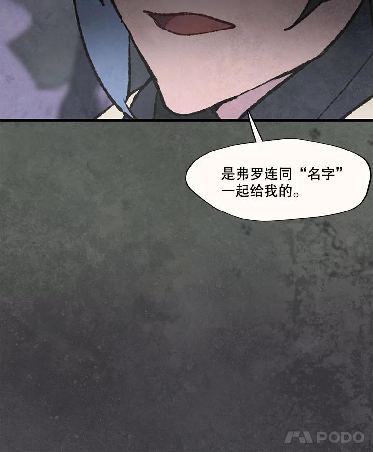 《在流星坠落之处等待》52.乌鸦鸣叫的灰色森林 第33页