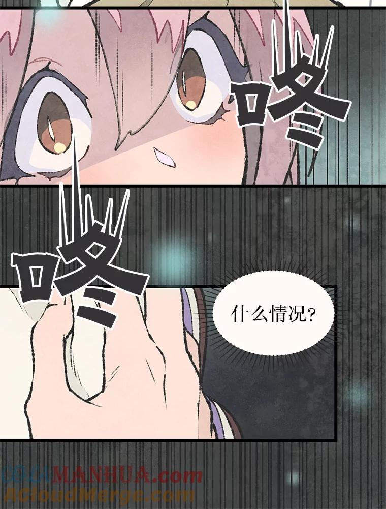 《在流星坠落之处等待》53.万物商店和奇怪的主人 第49页