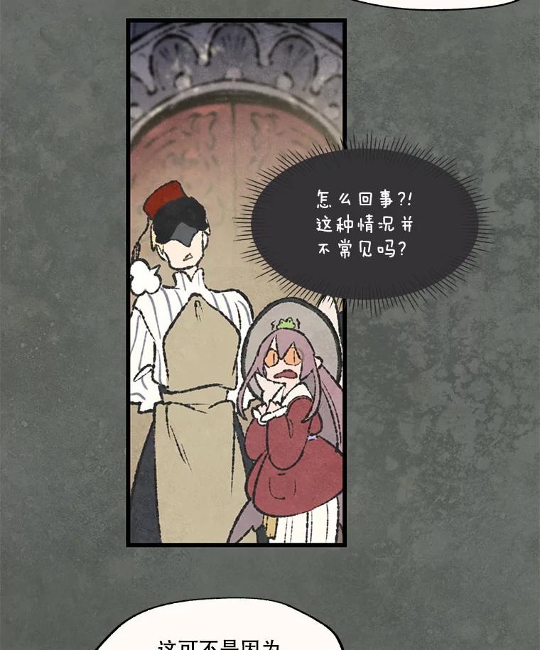 《在流星坠落之处等待》53.万物商店和奇怪的主人 第11页