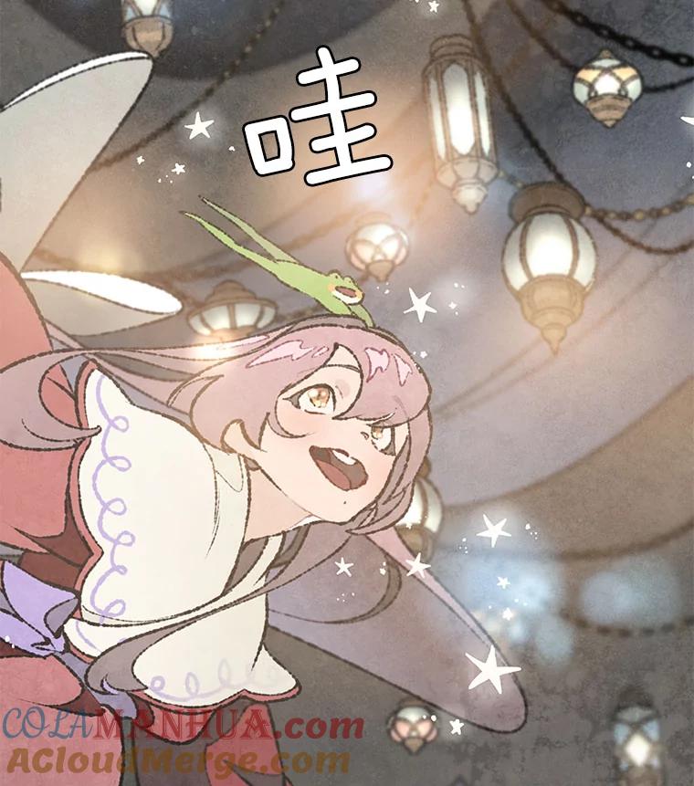 《在流星坠落之处等待》53.万物商店和奇怪的主人 第31页