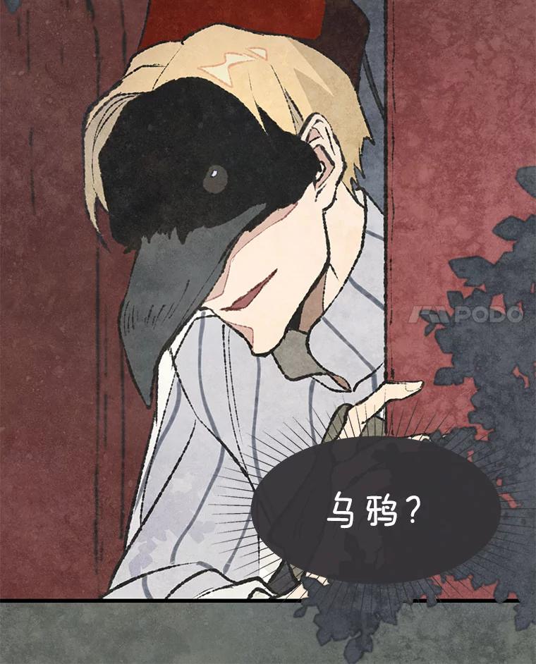 《在流星坠落之处等待》53.万物商店和奇怪的主人 第8页