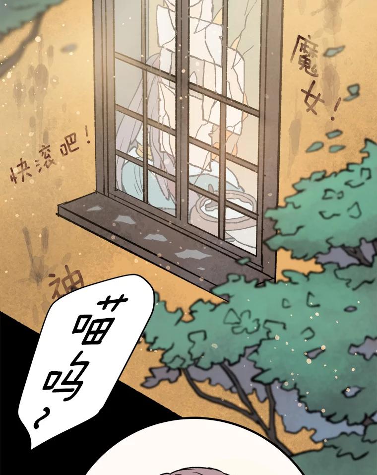 《在流星坠落之处等待》4.奇怪的访客 第12页