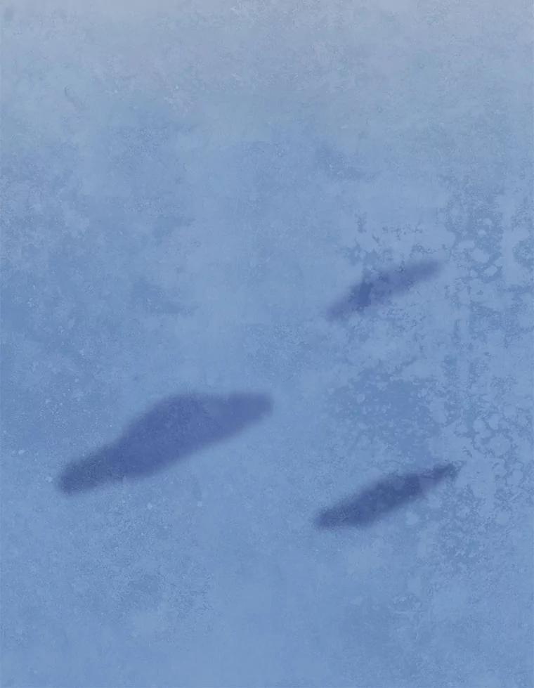 《在流星坠落之处等待》58.装点绿塔尼亚裙边的… 第11页