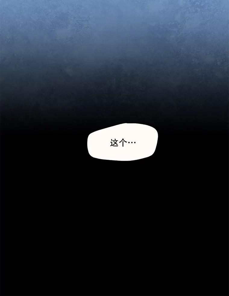 《在流星坠落之处等待》58.装点绿塔尼亚裙边的… 第5页