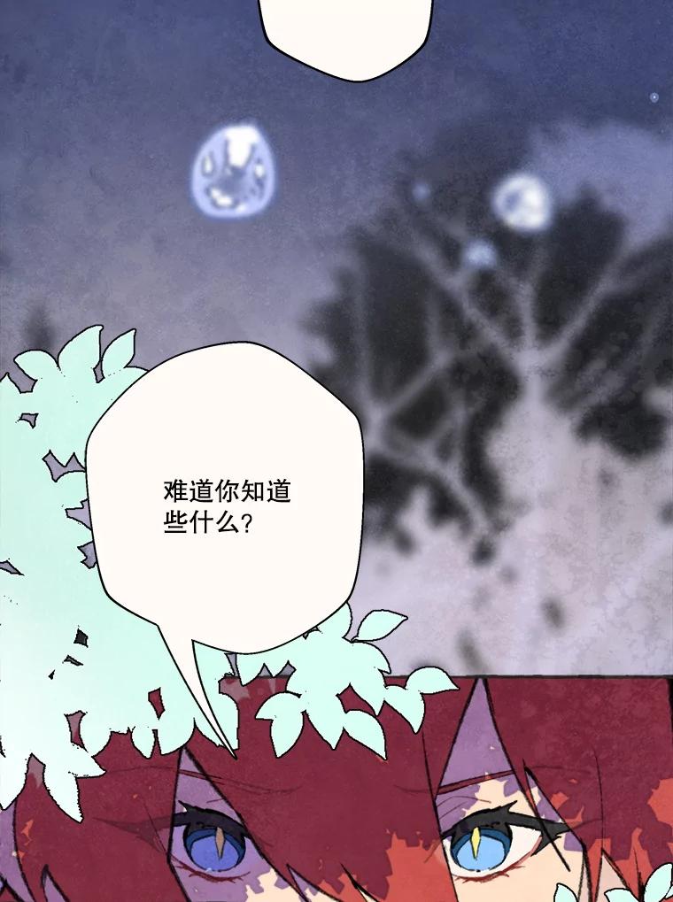 《在流星坠落之处等待》62.帕伊的请求 第12页