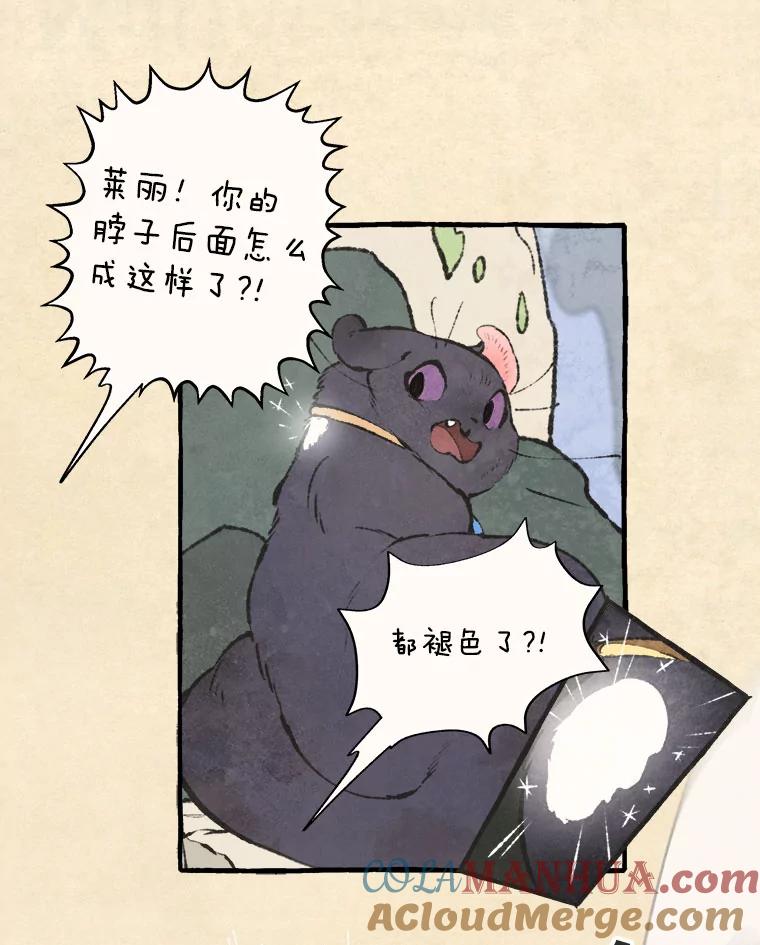 《在流星坠落之处等待》67.查理不在家 第31页