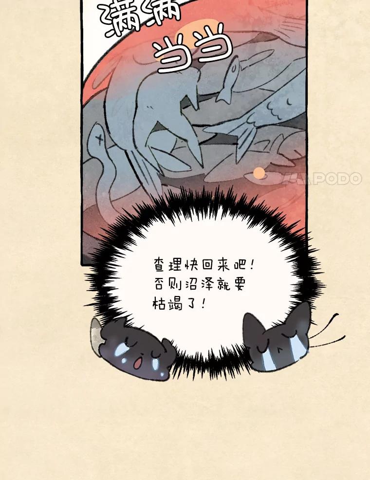 《在流星坠落之处等待》67.查理不在家 第17页