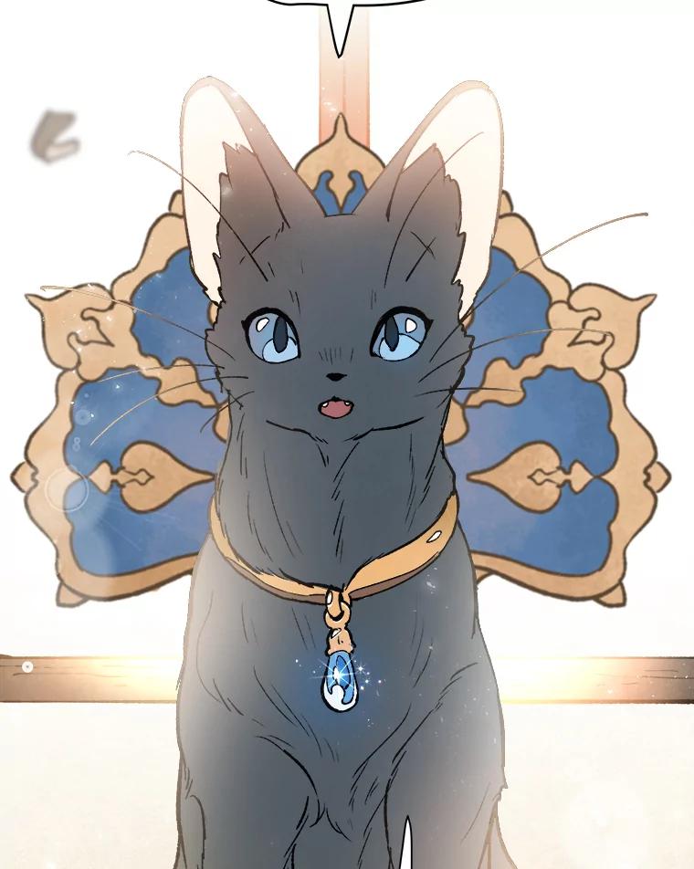 《在流星坠落之处等待》5.猫咪的迎接 第69页