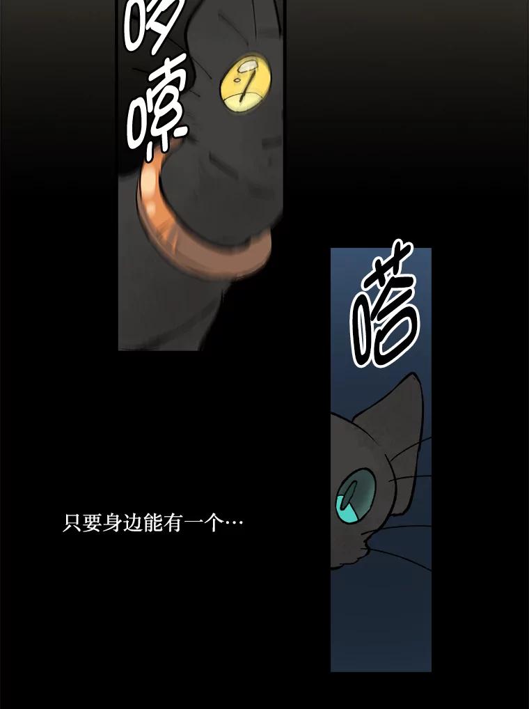 《在流星坠落之处等待》5.猫咪的迎接 第14页