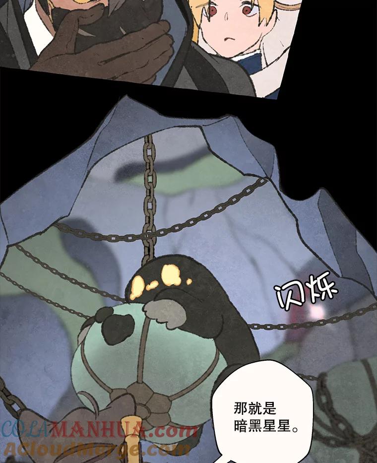 《在流星坠落之处等待》69.“即使披着怪物的皮” 第55页