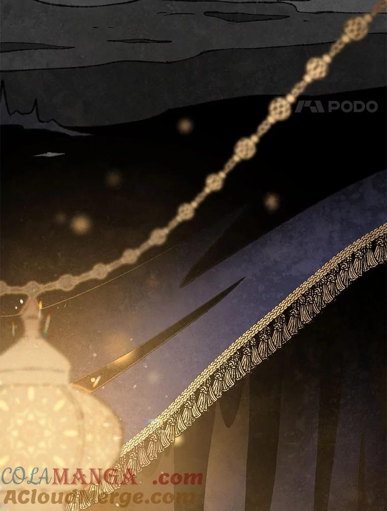 《在流星坠落之处等待》77.银色猫头鹰（1） 第4页