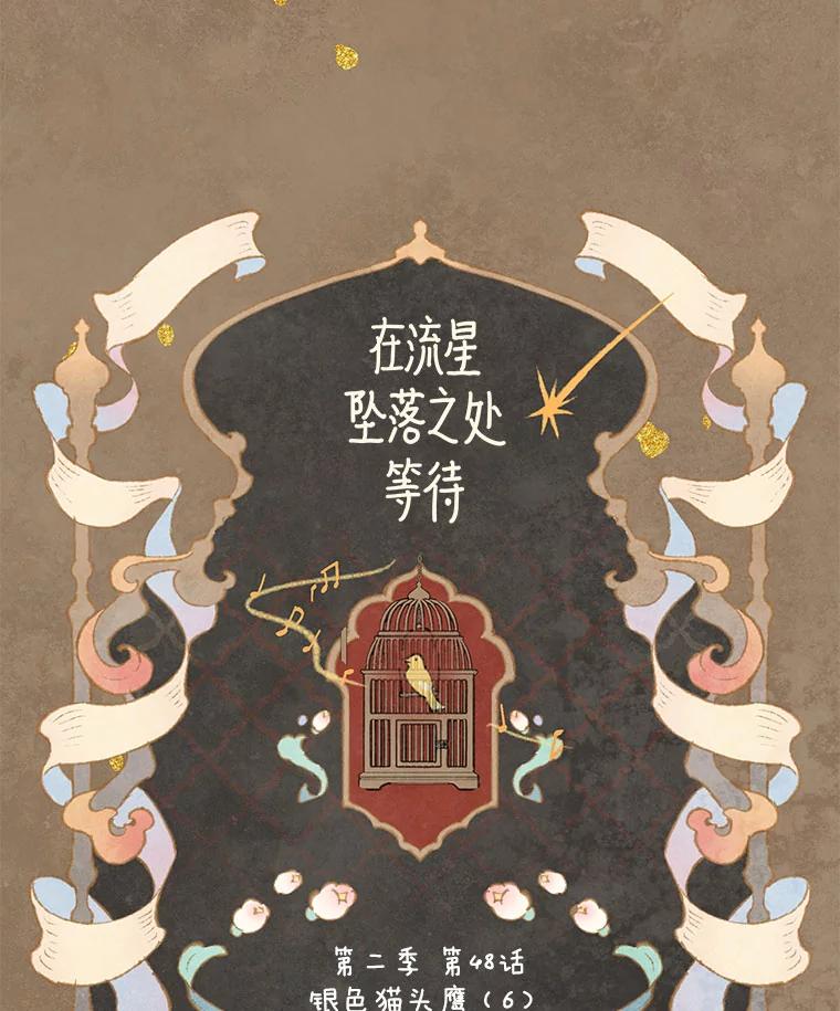 《在流星坠落之处等待》82.银色猫头鹰（6） 第6页