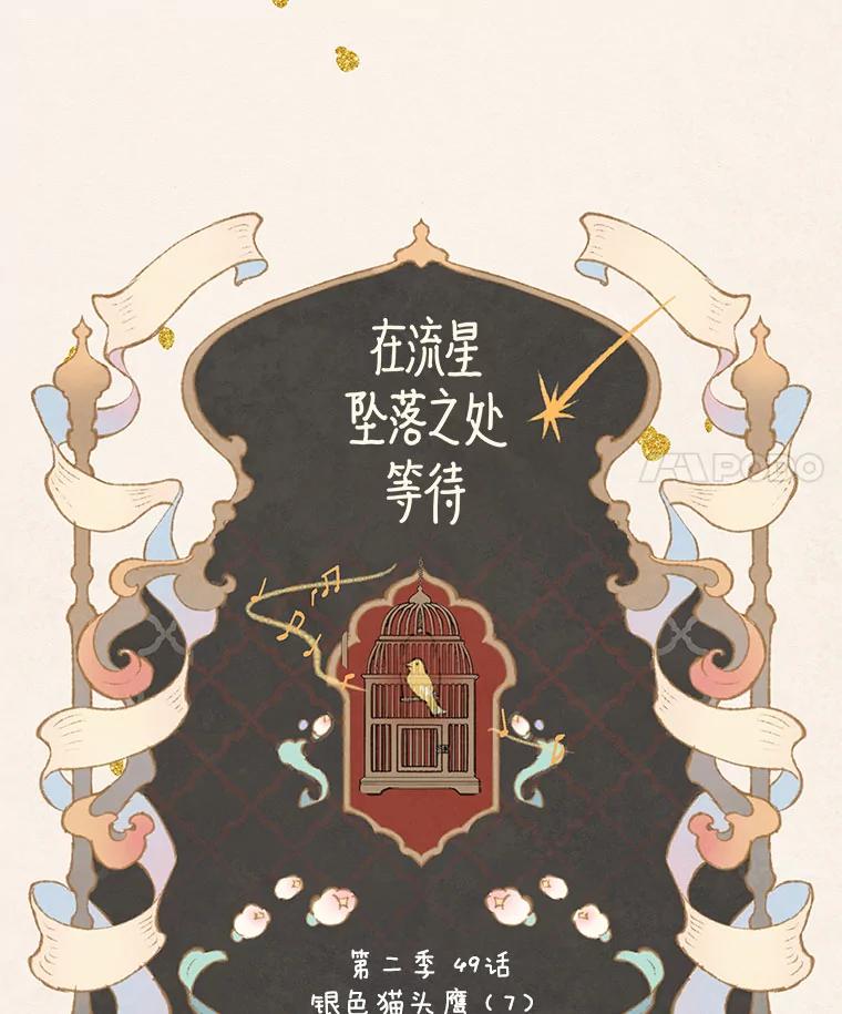 《在流星坠落之处等待》83.银色猫头鹰（7） 第14页