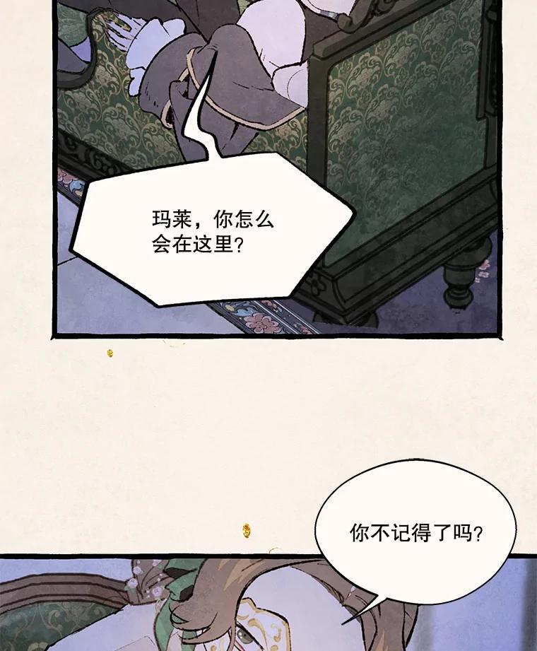 《在流星坠落之处等待》83.银色猫头鹰（7） 第6页