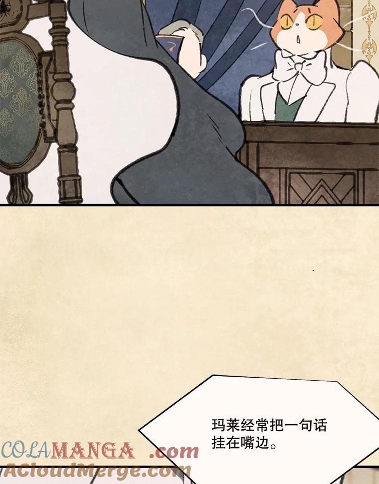《在流星坠落之处等待》84.银色猫头鹰（完） 第10页