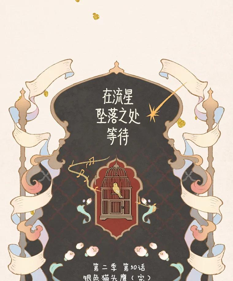 《在流星坠落之处等待》84.银色猫头鹰（完） 第5页