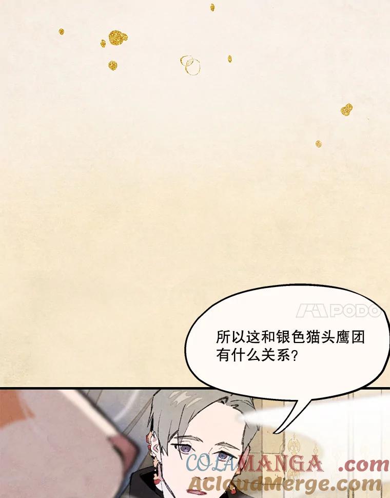 《在流星坠落之处等待》84.银色猫头鹰（完） 第7页