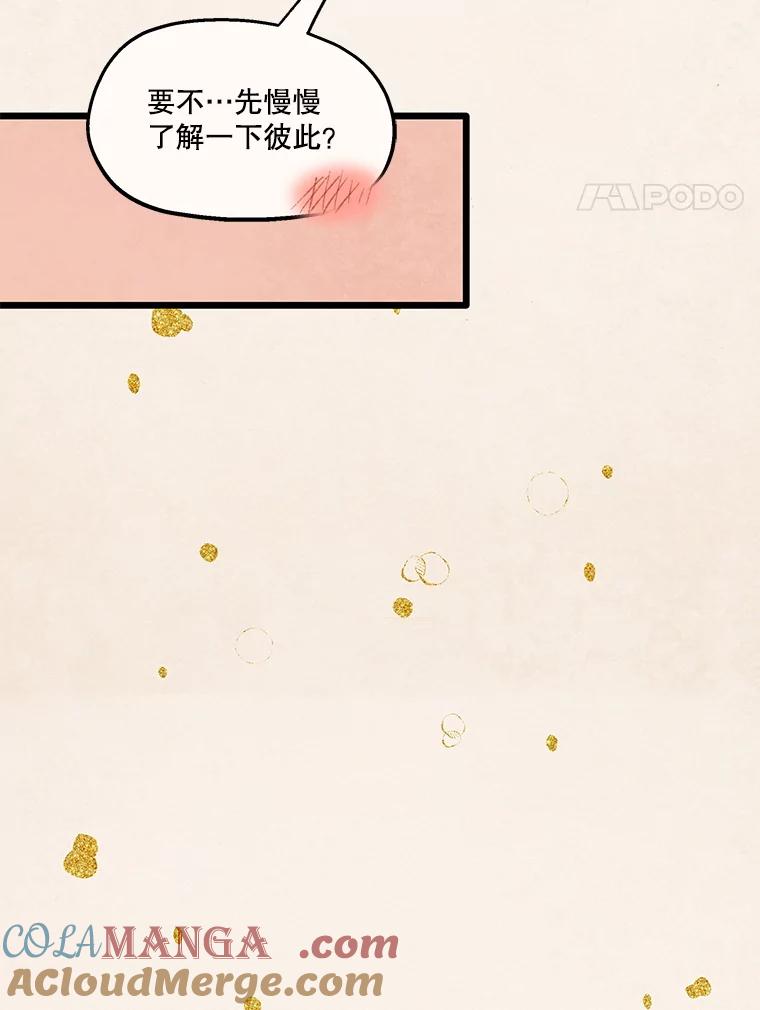 《在流星坠落之处等待》84.银色猫头鹰（完） 第4页