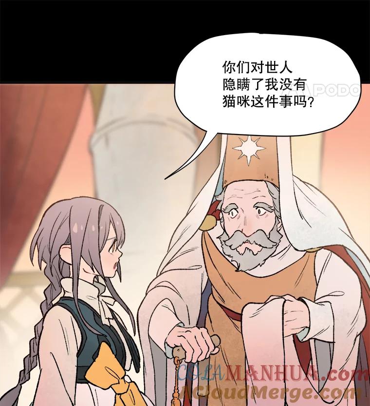 《在流星坠落之处等待》7.只有我没有猫咪。 第52页