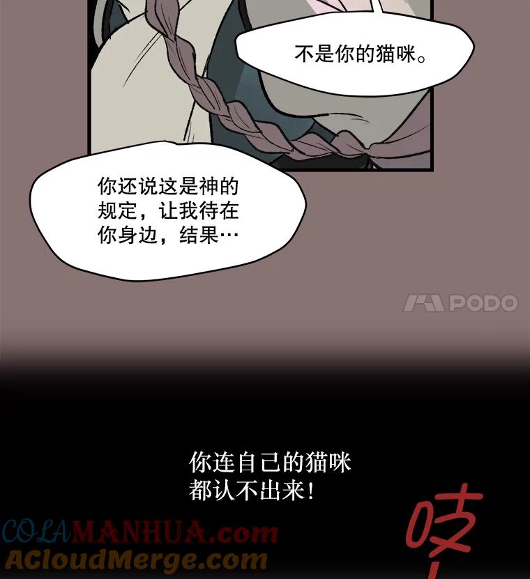 《在流星坠落之处等待》7.只有我没有猫咪。 第40页