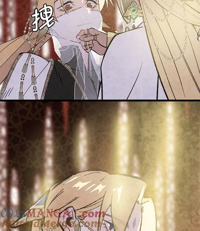 《在流星坠落之处等待》88.那不可能是奇迹（2） 第13页