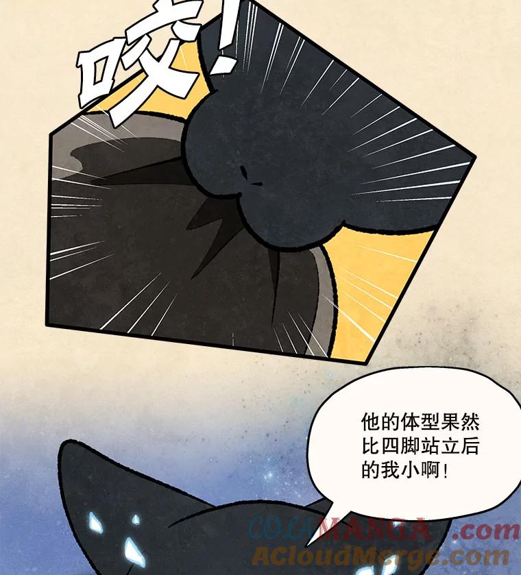 《在流星坠落之处等待》96.瘟疫魔女的村庄（6） 第25页