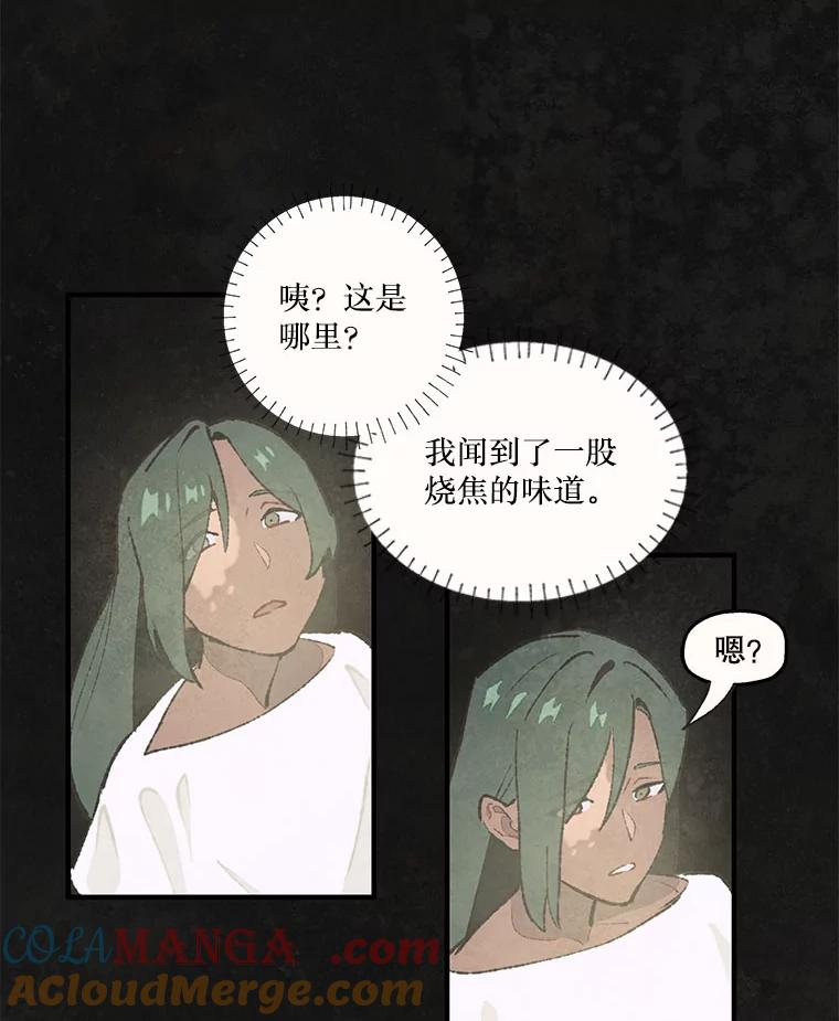 《在流星坠落之处等待》96.瘟疫魔女的村庄（6） 第40页
