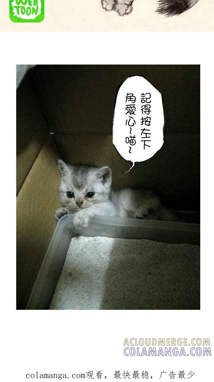 猫剑客 [第97话] 折翼天使 肆拾，降临 第31页