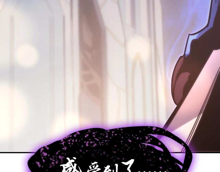 《灾难级英雄归来》第19话 八大圣物 第256页