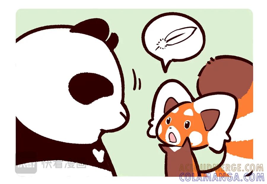 《胖达x胖达》第261话 第3页