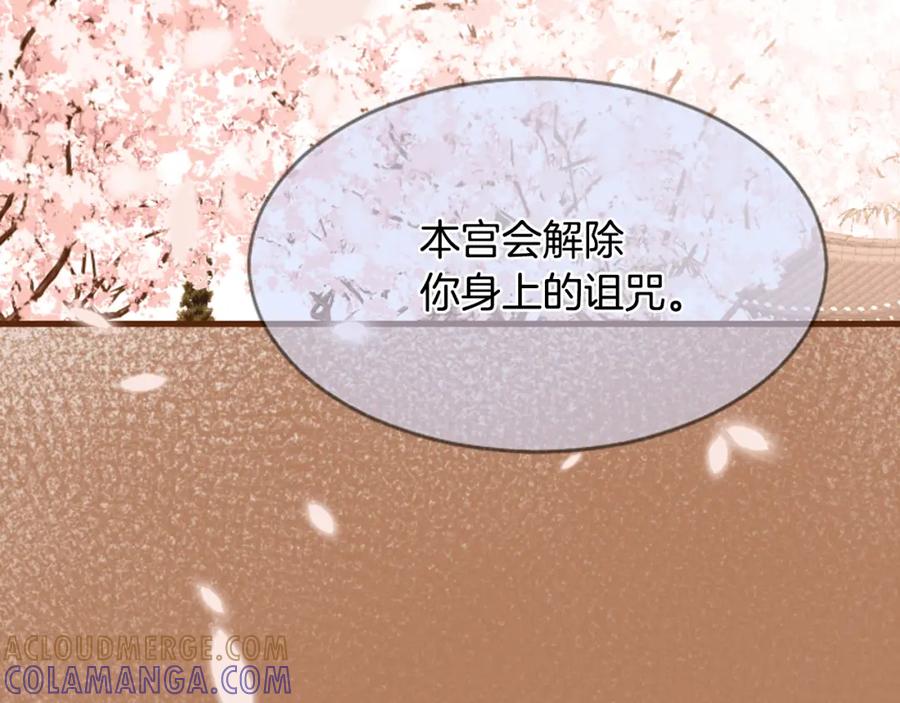 《凤凰血》第12话 奇迹 第13页