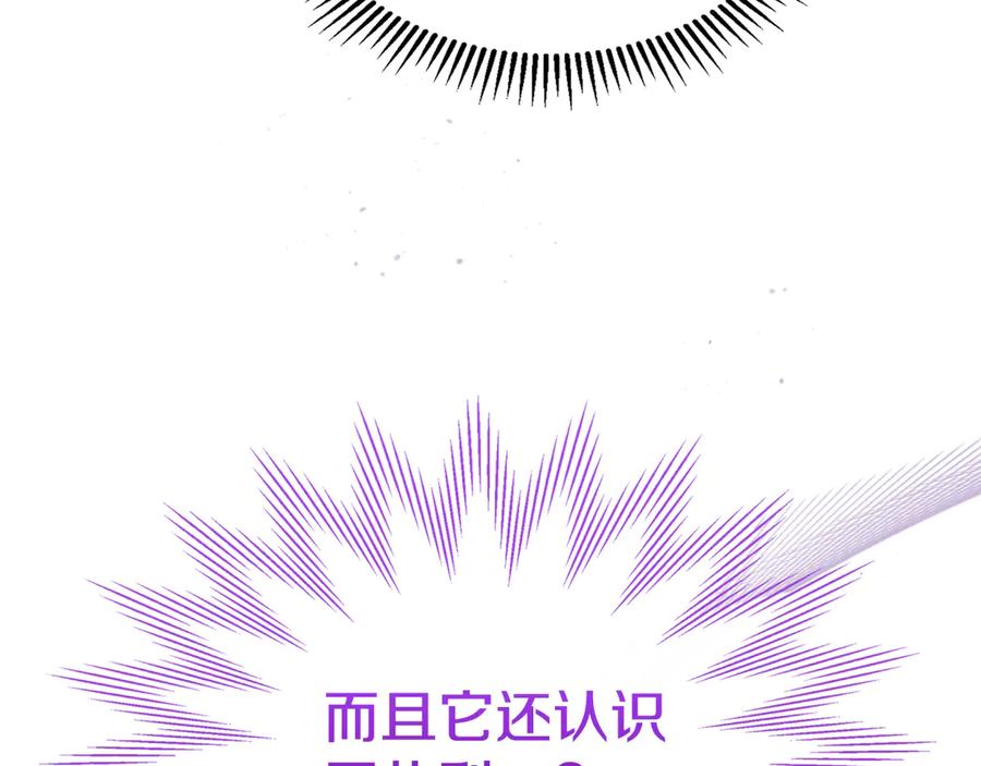冬城的囚犯小公主 第66话 茜茜 第155页