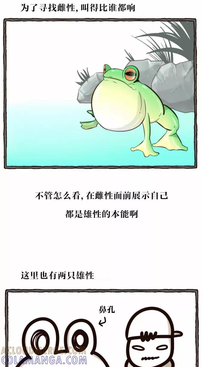 《嘎噢噢求爱大联盟》[第35话] 嘎噢噢之辣味对决！ 第3页