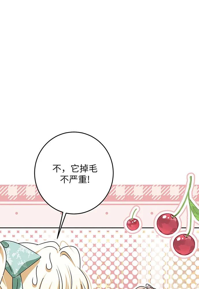 反派家族反对独立 第45话 第67页
