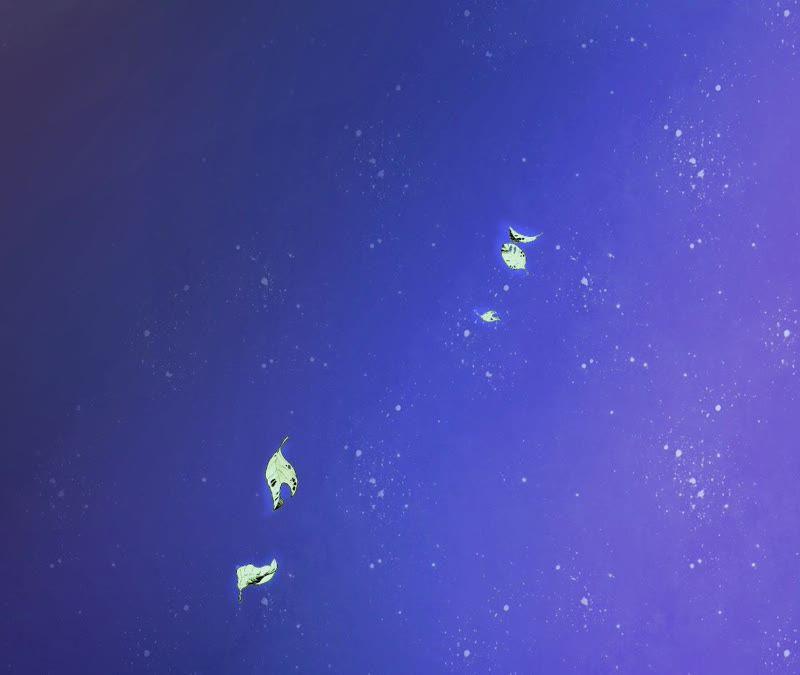 在座的都是废物 第55话 但爱，让人受尽委屈 第11页