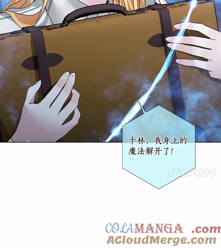 《龙套大公子妃的花路人生》42.绑架 第45页