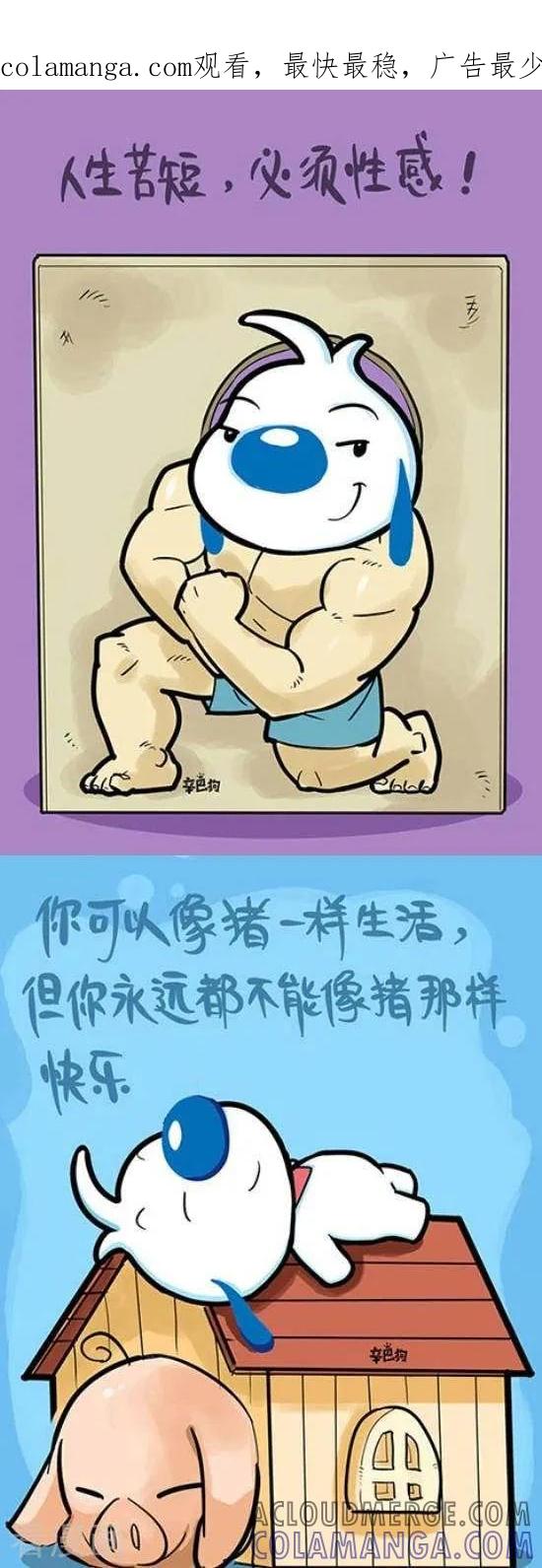《辛巴狗和哈米兔》第341话 第1页