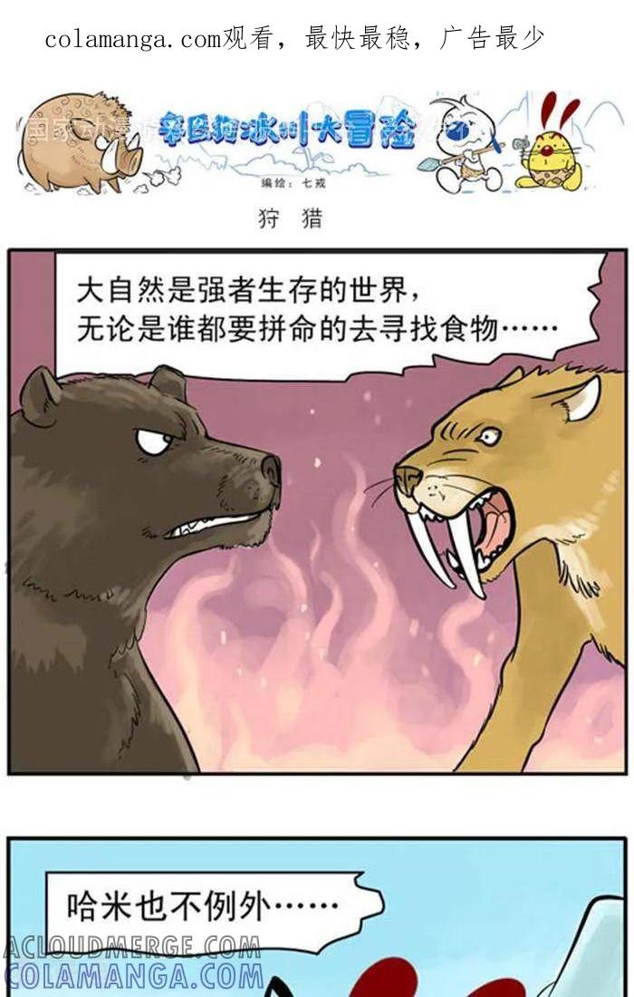 《辛巴狗海洋大冒险》辛巴狗冰川大冒险07 狩猎 第1页