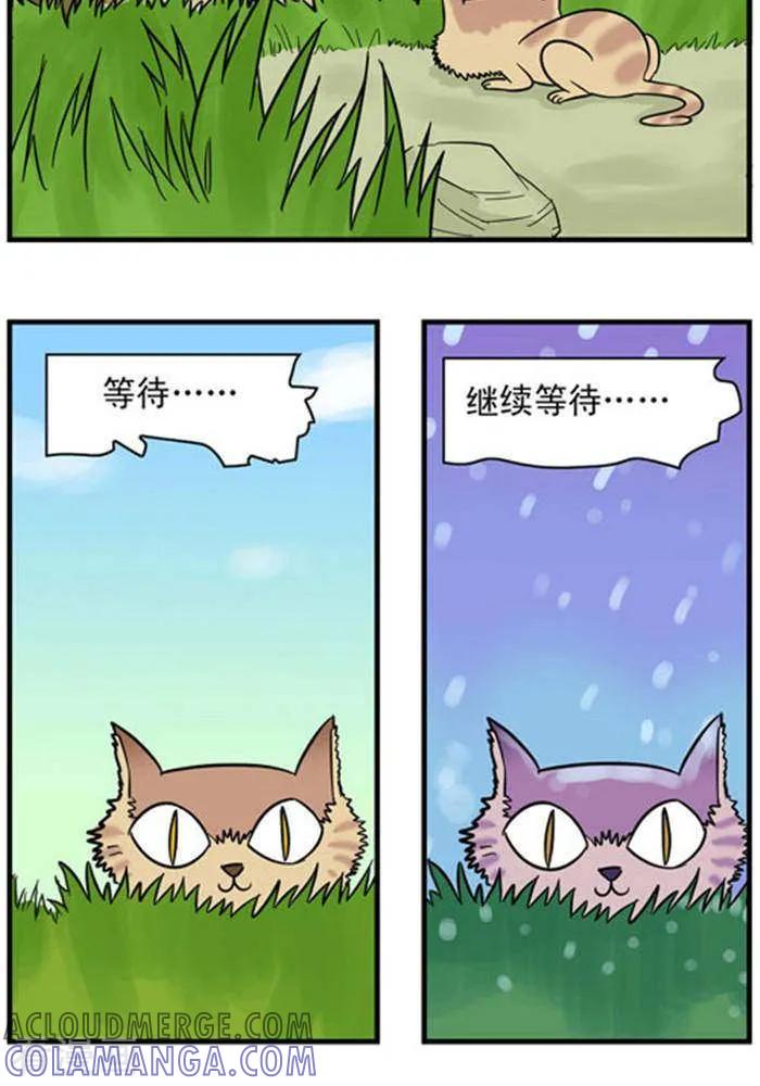 《辛巴狗海洋大冒险》辛巴狗冰川大冒险11 小猫篇1 第3页