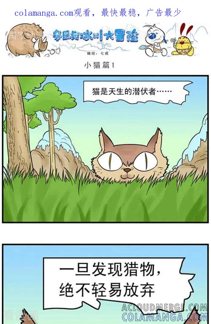 《辛巴狗海洋大冒险》辛巴狗冰川大冒险11 小猫篇1 第1页