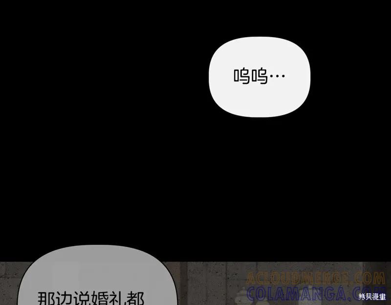 我不再是灰姑娘 第98话 第85页