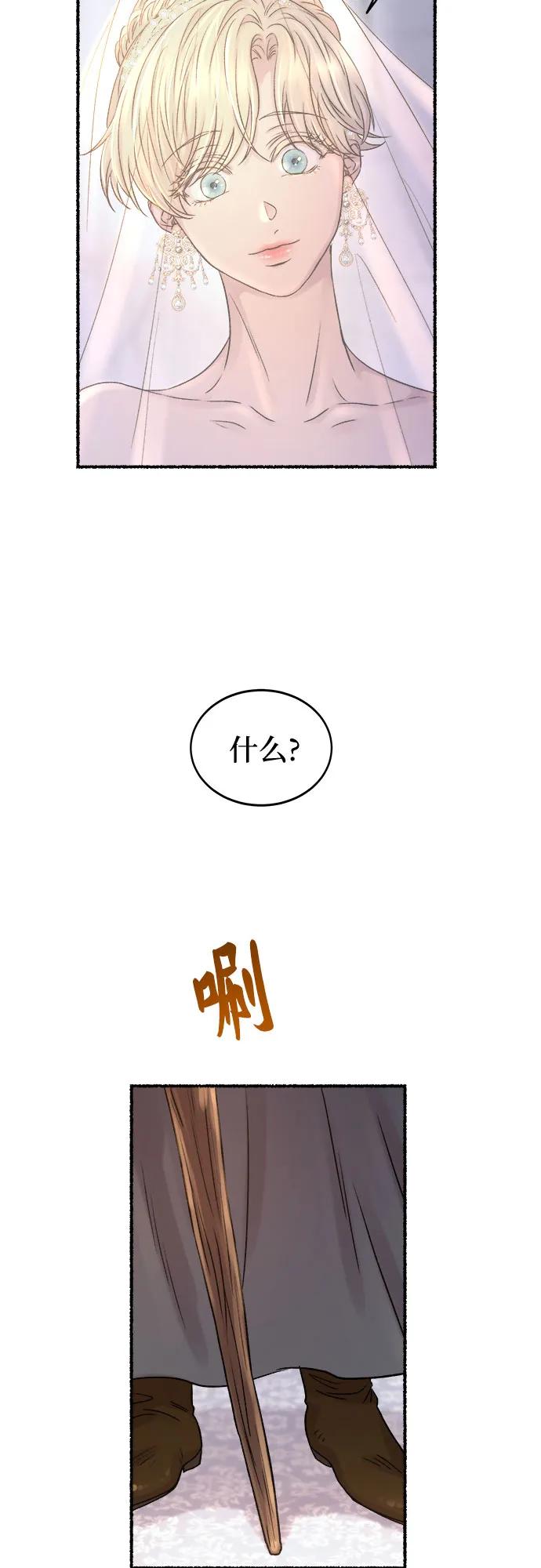 废皇子的神祕爱人 第215话 闪闪发光（4） 第30页