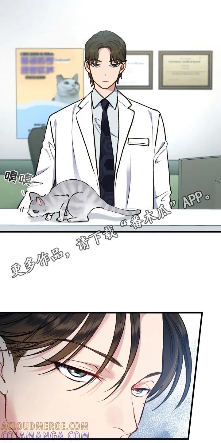《快穿救赎》第10章：下定决心 第5页