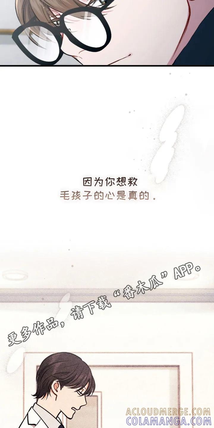 《快穿救赎》第12章：负责到底 第5页