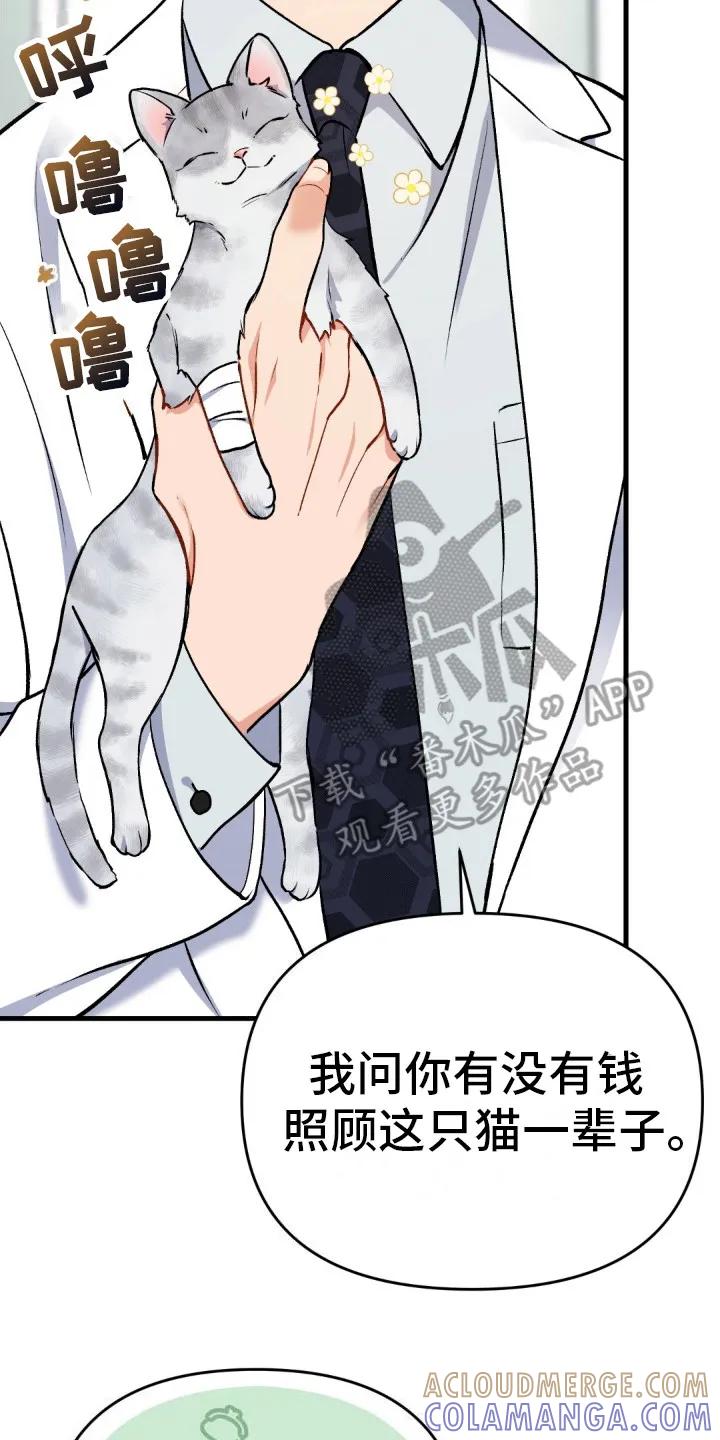 《快穿救赎》第9章：没有朋友 第21页